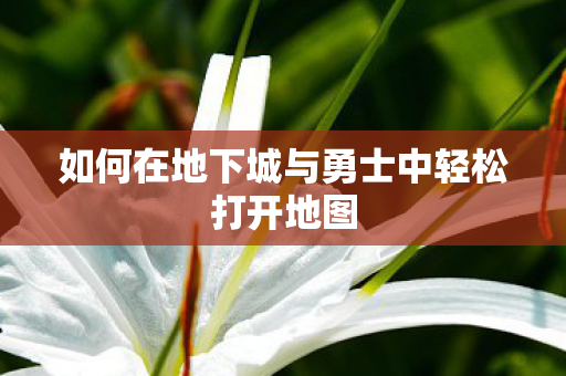 如何在地下城与勇士中轻松打开地图图片