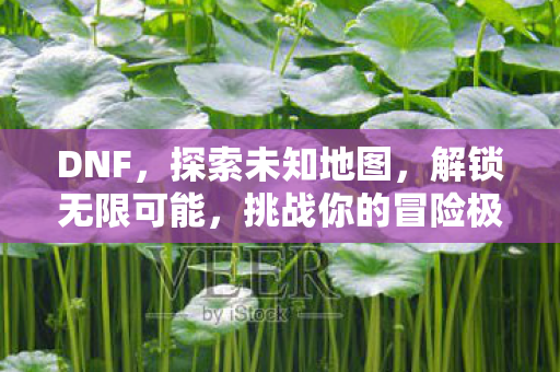 挑战你的冒险极限图片