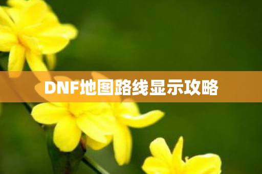 DNF地图路线显示攻略图片