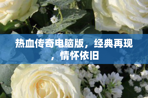 热血传奇电脑版图片