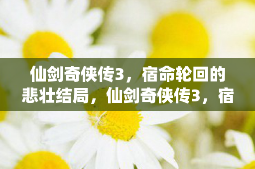 宿命轮回的悲壮结局震撼人心图片