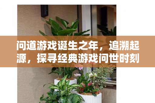 探寻经典游戏问世时刻图片