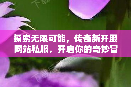 开启你的奇妙冒险之旅图片