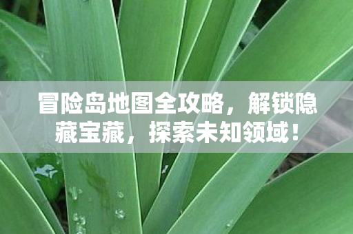 冒险岛地图全攻略图片