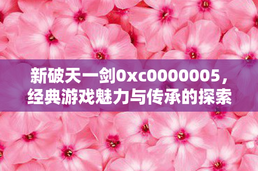 新破天一剑0xc0000005图片