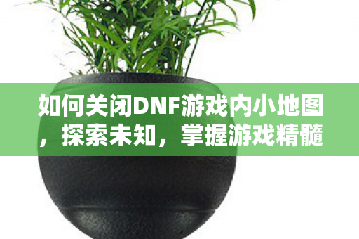 如何关闭DNF游戏内小地图图片