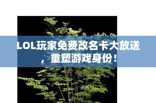 LOL玩家免费改名卡大放送图片