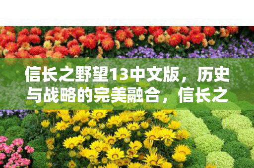 信长之野望13中文版图片