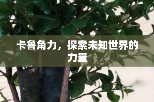 探索未知世界的力量图片