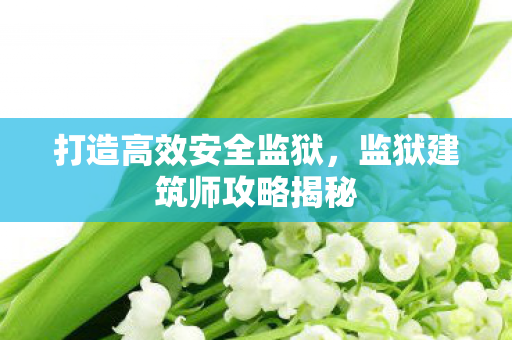 监狱建筑师攻略揭秘图片
