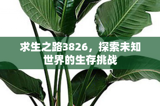 探索未知世界的生存挑战图片