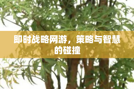 策略与智慧的碰撞图片