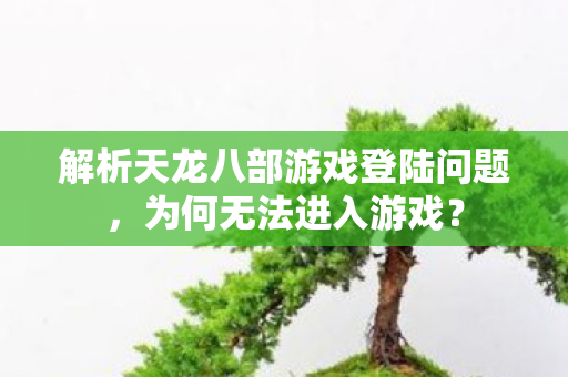 解析天龙八部游戏登陆问题图片