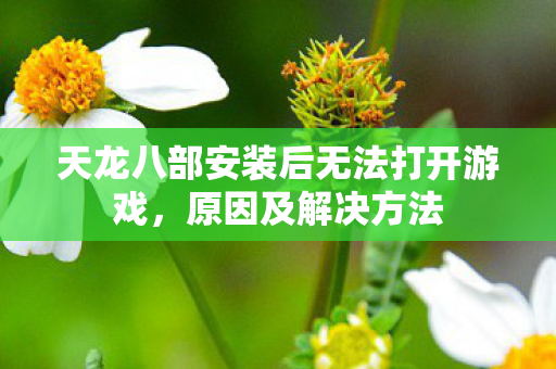 天龙八部安装后无法打开游戏图片