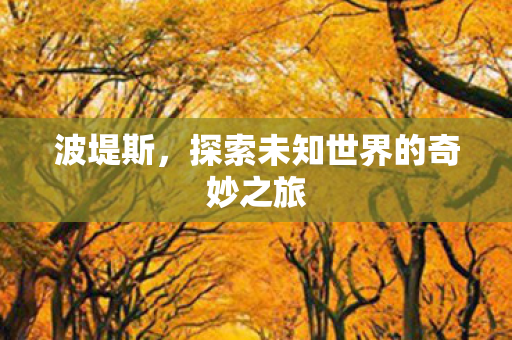 探索未知世界的奇妙之旅图片