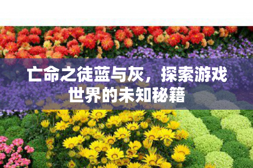 探索游戏世界的未知秘籍图片