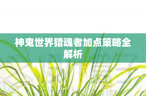 神鬼世界猎魂者加点策略全解析图片