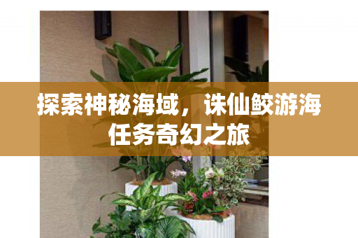 探索神秘海域,诛仙鲛游海任务奇幻之旅 探索神秘海域,诛仙鲛游海任务奇幻之旅