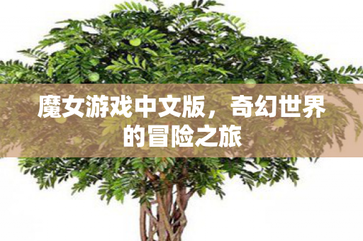 奇幻世界的冒险之旅图片