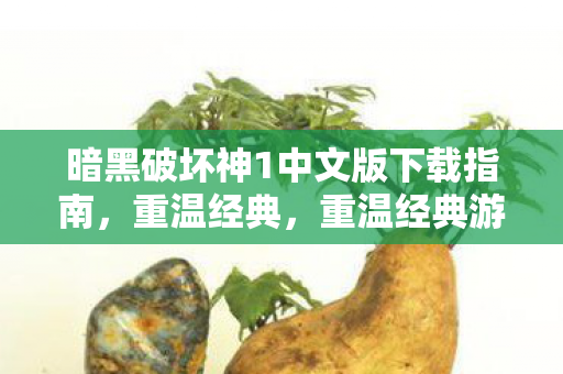 暗黑破坏神1中文版下载指南图片