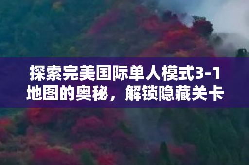 探索完美国际单人模式3图片