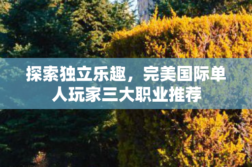完美国际单人玩家三大职业推荐图片