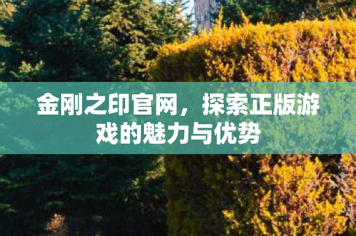 探索正版游戏的魅力与优势图片