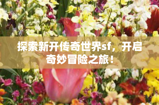 探索新开传奇世界sf图片