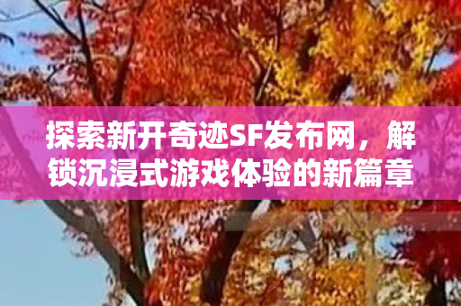 解锁沉浸式游戏体验的新篇章图片