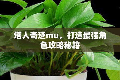 打造最强角色攻略秘籍图片