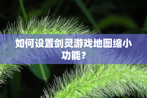 如何设置剑灵游戏地图缩小功能？