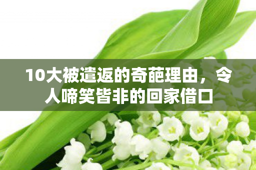 10大被遣返的奇葩理由图片
