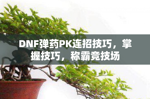DNF弹药PK连招技巧图片