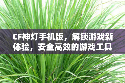安全高效的游戏工具下载图片