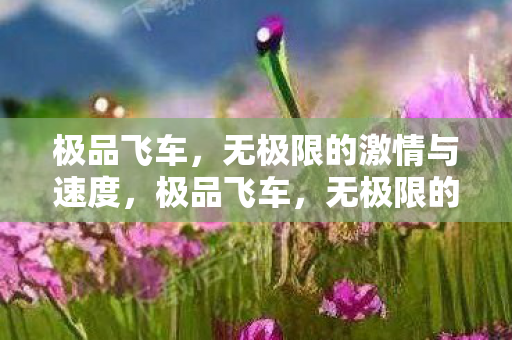 无极限的激情与速度盛宴图片