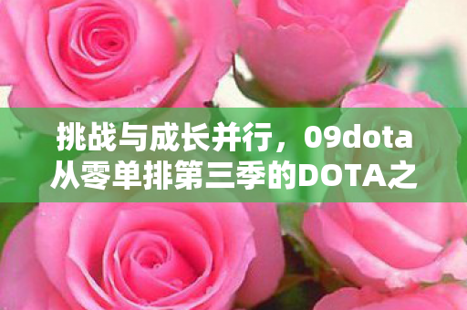 09dota从零单排第三季的DOTA之旅图片