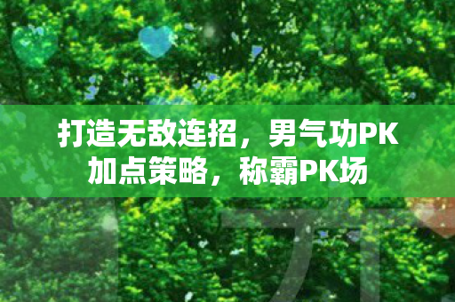 男气功PK加点策略图片