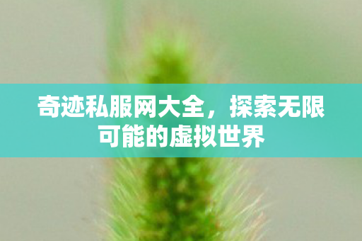 探索无限可能的虚拟世界图片