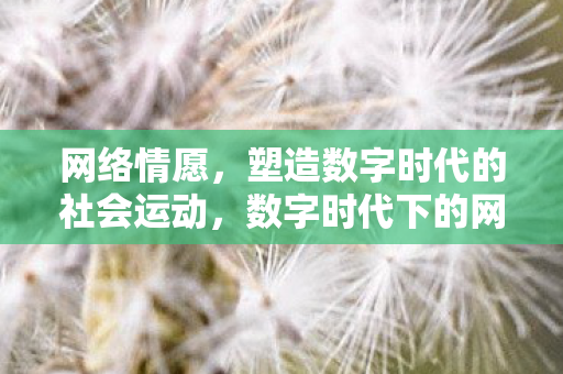 数字时代下的网络动员与社会运动塑造图片