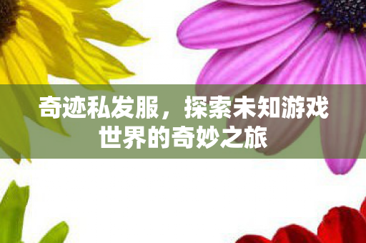 奇迹私发服,探索未知游戏世界的奇妙之旅 奇迹私发服,探索未知游戏世界的奇妙之旅