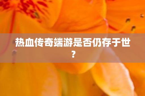 热血传奇端游是否仍存于世图片