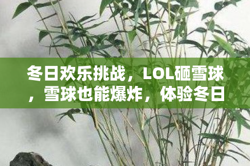 冬日欢乐挑战图片