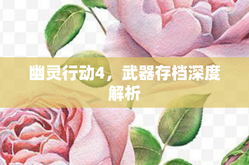 武器存档深度解析图片