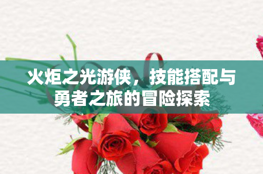 技能搭配与勇者之旅的冒险探索图片