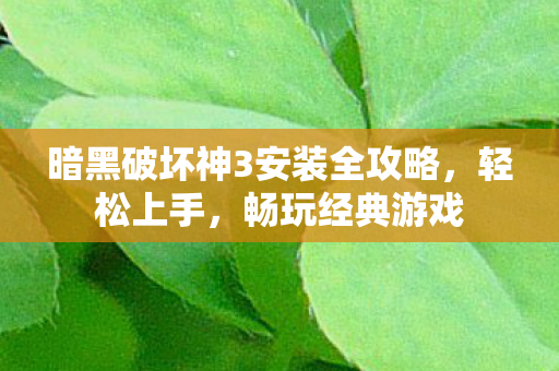 暗黑破坏神3安装全攻略图片