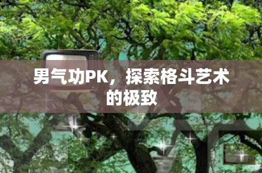 探索格斗艺术的极致图片