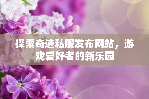 探索奇迹私服发布网站图片