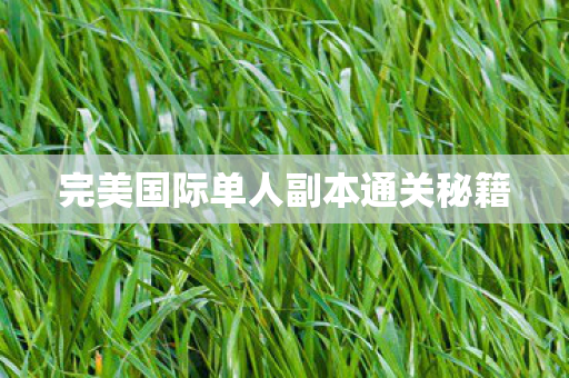完美国际单人副本通关秘籍图片
