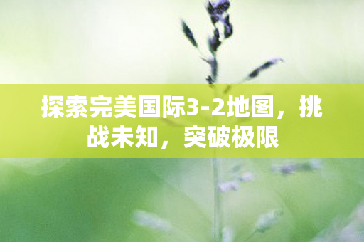 探索完美国际3图片