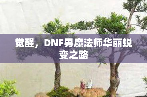 DNF男魔法师华丽蜕变之路图片